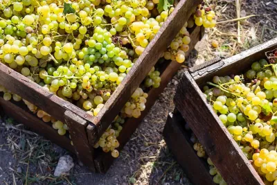 Cantine Intorcia / Marsala