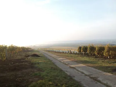 Pannon Tokaj