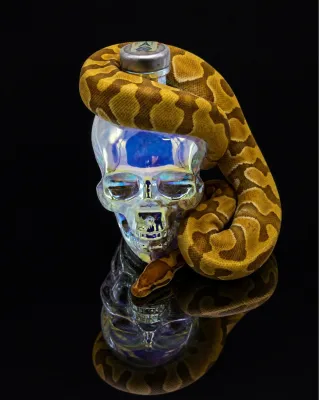 Globefill / Crystal Head
