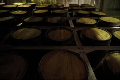 Tanduay Distillers