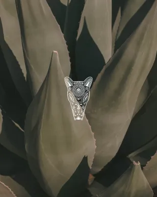 Noble Coyote