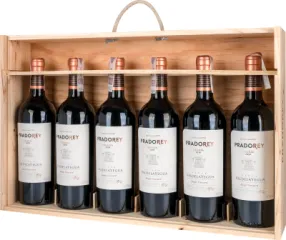 SKRZYNKA 6 BUTLI PRADOREY CRIANZA 2019 6X0,75