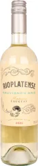 RIOPLATENESE SAUVIGNON GRIS 13% 0,75 2022