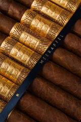 MEERAPFEL CIGAR MEIR PYRAMID D-25