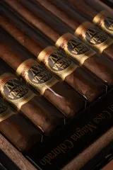 CASA MAGNA COLORADO XV ANNIVERSARY TORO D-F-15