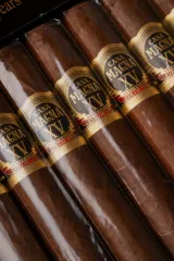 CASA MAGNA COLORADO XV ANNIVERSARY TORO D-F-15