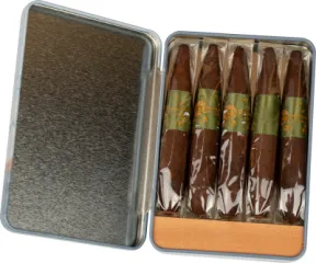 PRINCIPLE THE ACCOMPLICE GREEN MADURO SHORT PERFECTO T-F-5