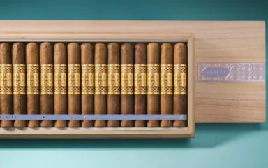 MEERAPFEL CIGAR ERNEST ROBUSTO D-25