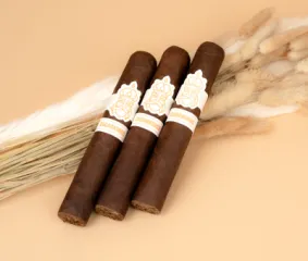 CIGAR KINGS COY 24 GENIALES ROBUSTO D-F-12 TT