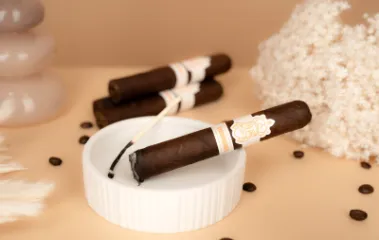 CIGAR KINGS COY 24 GENIALES ROBUSTO D-F-12 TT