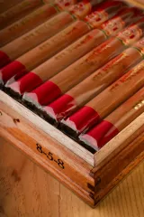 ARTURO FUENTE ROSADO SUN GROWN 8-5-8 D-F-20
